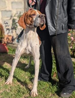 Ray ein wunderschoener Schatz - Berlin