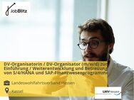 DV-Organisatorin / DV-Organisator (m/w/d) zur Einführung / Weiterentwicklung und Betreuung von S/4/HANA und SAP-Finanzwesenprogramme - Kassel