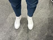 Neues Foto mein Socken nach dem laufen inkl Schuhe - biete meine Socken an - München