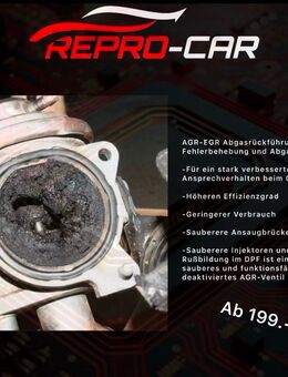 AGR EGR Reparatur Fehlerbehebung Abgastuning Diesel TDI dci - Kornwestheim