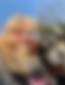 See*** - Herrsching (Ammersee)