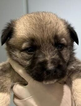 Livia - Durchstarten in 2026 - Mettmann