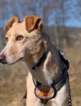 Zeigst du PAVEL wie schön die Welt ist? - München