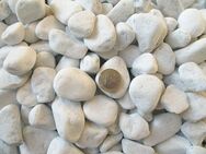 Natursteine Dekosteine weiß 25-40mm zur Dekoration 20kg - Wuppertal