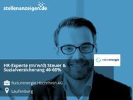 HR-Experte (m/w/d) Steuer & Sozialversicherung 40-60% - Laufenburg