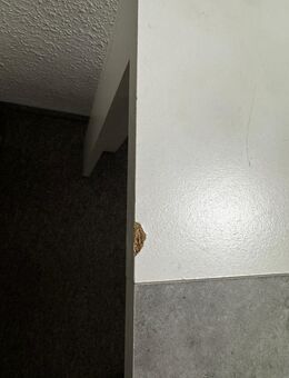 Verkaufe Esstisch -Beton-weiß - Cuxhaven