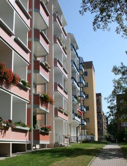 Offene und helle Familienwohnung mit Weitblick! - Chemnitz