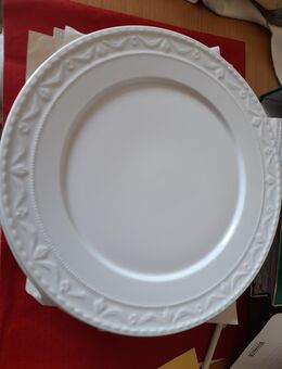 12 x XL Speiseteller KPM Berlin 30 cm neuwertig - Regen