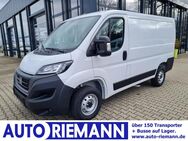 Fiat Ducato, 30 Kasten Regaleinbauten L1, Jahr 2023 - Cloppenburg