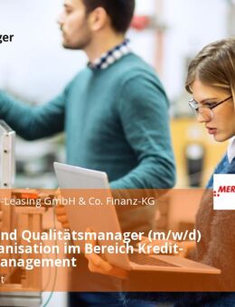 Prozess- und Qualitätsmanager (m/w/d) Kreditorganisation im Bereich Kredit- & Risikomanagement - Schweinfurt