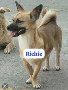 Richie wurde immer übersehen - Berlin