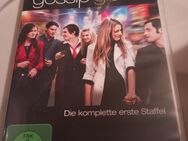 Gossip Girl 1 Staffel - Herford (Hansestadt)