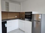 ERSTBEZUG!! Neu sanierte 2 Zimmer Wohnung mit neuer Einbauküche+Elektrogeräten+neuer Waschmaschine/Wunderschöner Lage direkt am Wöhrder See Nürnberg - Nürnberg