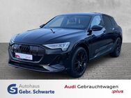 Audi e-tron, 50 quattro S-line LM21, Jahr 2022 - Aurich