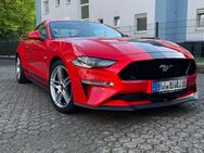 Ford Mustang Fastback 5.0 Ti-VCT V8 Aut. GT - Düren