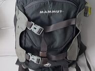 Mammut Niva Element M 23 L Rucksack für Touren, Sport und Alltag mit externen Befestigungsmöglichkeiten Ski Snowboard Freeride Walking Climbing Outdoor - Landsberg (Lech)