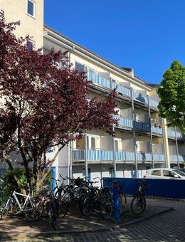 1-Zimmer-Wohntraum über den Dächern der Stadt Greifswald - Greifswald