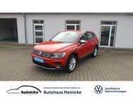 VW Tiguan, 2.0 TDI Allspace COMFORTLINE, Jahr 2019 - Oebisfelde-Weferlingen Siestedt