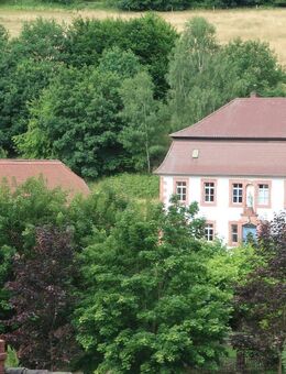 Historisches Hofgut/Bauernhof mit Wiesen und Wald - Altenbuch