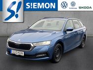 Skoda Octavia, Combi TDI Ambition, Jahr 2020 - Warendorf