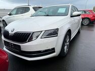 Skoda Octavia Combi Style-1 Hand-Leder-PDC- - Friedberg (Hessen)