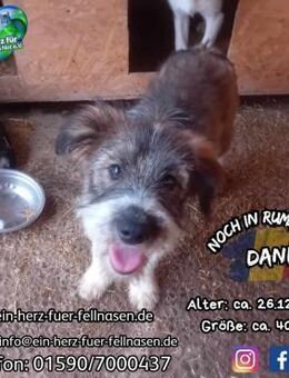 DANI-weiß schon, was ihr gefallen würde - Waakirchen