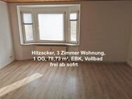 Hitzacker: 3 Zimmer-Whg. - Hitzacker (Elbe)