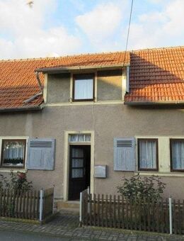 Platz für Familie, Hobby und Tiere - Molschleben