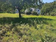 Fast ebenerdiges großes Grundstück im Baugebiet "Am Buchenhain" - Wilhelmsfeld
