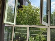 Tolle 1-Raum-Wohnung in ruhiger Lage auf dem Werder in Magdeburg! - Magdeburg