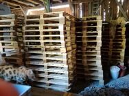 Paletten 120 x 100 cm neuwertig zu verkaufen - Kastl (Landkreis Amberg-Sulzbach)