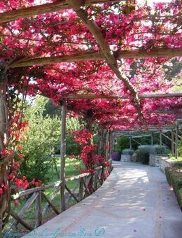 junggebliebener singel Mann ohne Altlasten... - Magdeburg