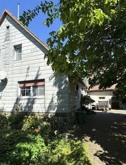 Landwirtschaftliche Hofstelle mit wunderschönem Grundstück - Steinsfeld