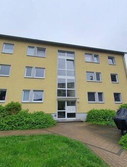 Hier rein, ins neue Heim! - Braunschweig