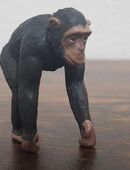 Tiptoi Schimpanse von Ravensburger in 79853