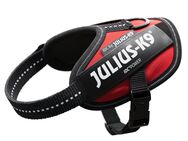 JULIUS-K9 IDC®-Powergeschirr - rot - Größe 2XS: Brustumfang 33 - 45 cm