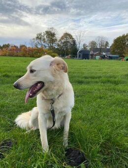 Mimi - Blondine sucht Familie - Grevenbroich