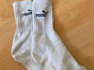 Verkaufe meine getragenen Socken - Coswig