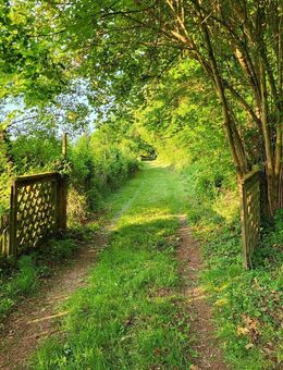 einzigartiges Grundstückpaket: Wohngebäude, Baufläche, 5ha Wald - Beckingen