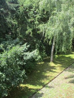 Gemütliches Wohnflair mit Einbauküche und Balkon - Maikammer