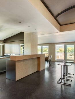 Spektakuläres Penthouse in direkter Rheinlage, Top-Zustand, 303 m² WFL, 148 m² Terrassen zum Rhein - Bonn