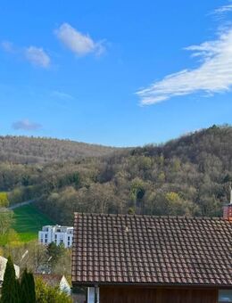 Hier schweift der Blick in die Ferne - Wohnen mit Panorama - Lörrach