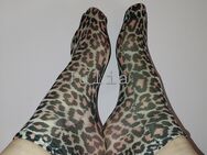Leoparden Socken getragen - Berlin Charlottenburg-Wilmersdorf