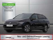 VW Golf VIII Variant 1.5 TSI Move // LED/Parklenkassistent/SHZ/LHZ - Thannhausen