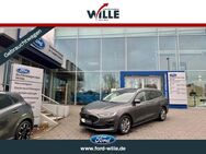 Ford Focus, Titanium Automatik Easy-Parking EcoBlue, Jahr 2023 - Dülmen