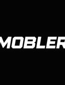 Möbelmontage in 8152