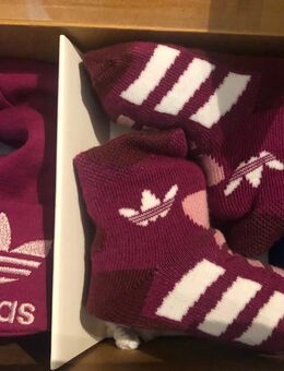 Adidas Geschenkset Baby - Berlin Reinickendorf