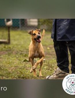 Maro: Energiebündel mit Herz - Kirchzell