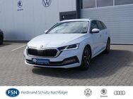 Skoda Octavia, 1.4 TSI Combi iV First Edition HYBRID LE, Jahr 2021 - Rostock