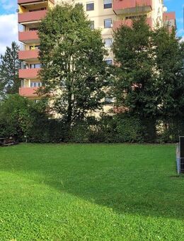 Vier schöne Wände mit Ausblick 3-Zimmer-Wohnung - Laudenbach (Baden-Württemberg)